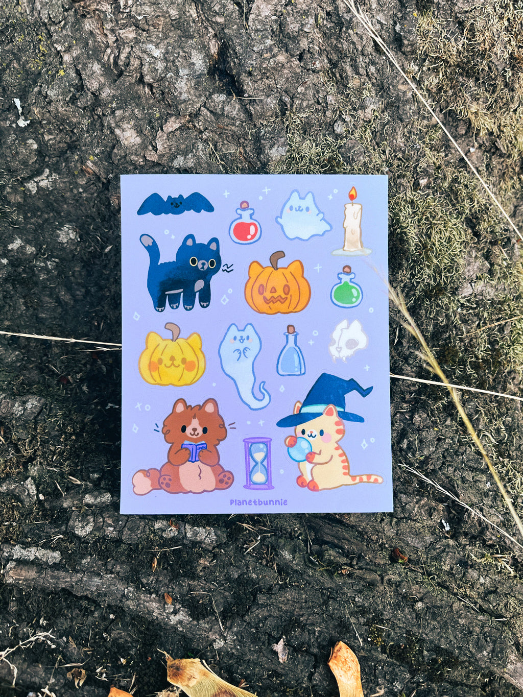 Halloween Cats