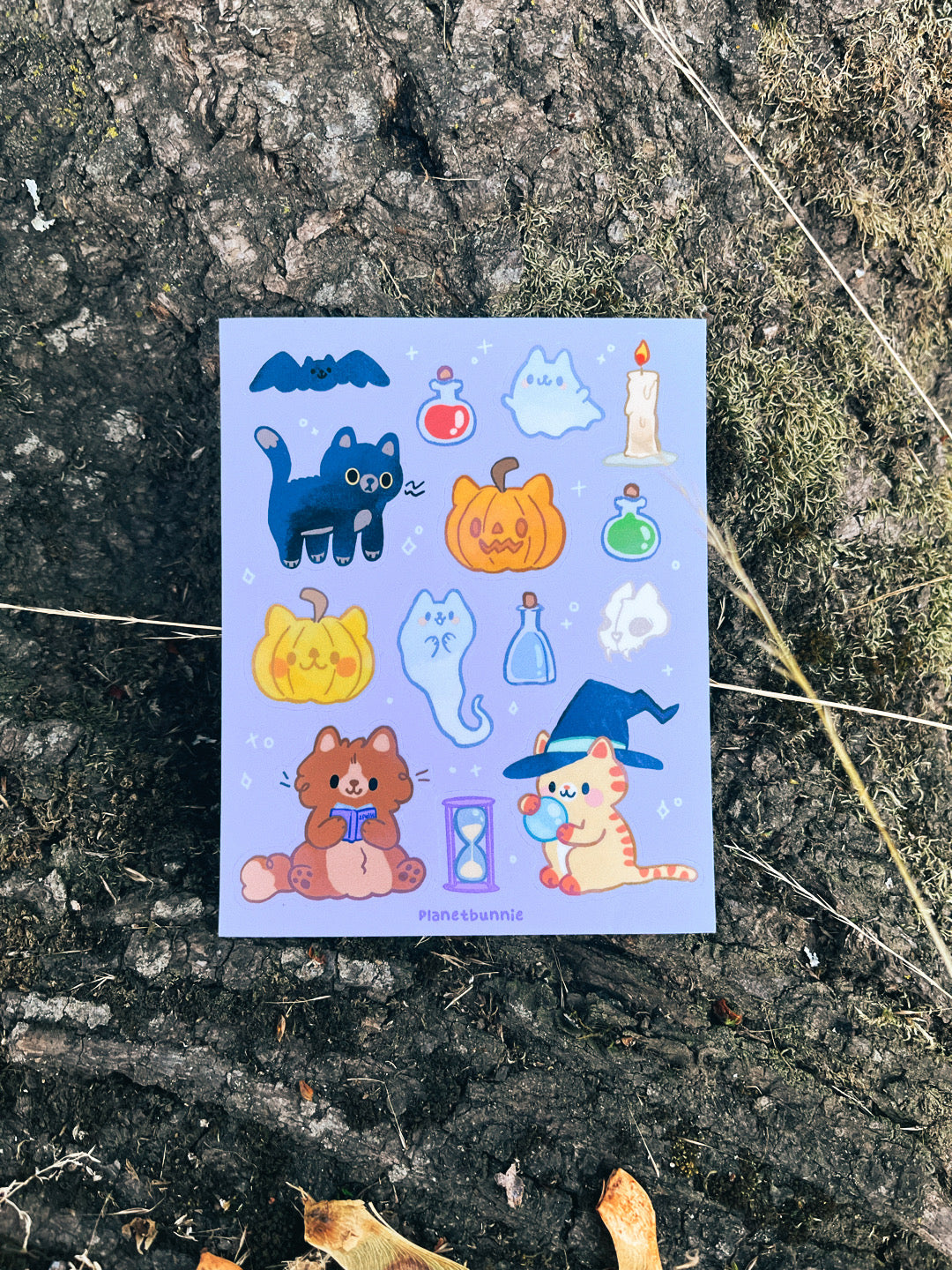 Halloween Cats